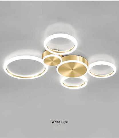 Modern LED Ceiling Chandelier For Living Dining Room Bedroom Aluminum Ceiling Lamp Indoor Home Decor Lighting Fixture Lustre